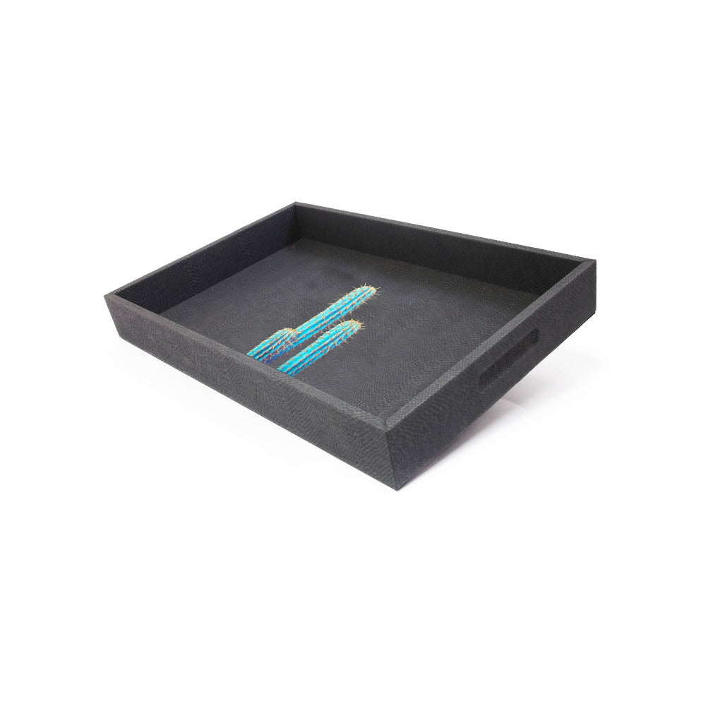 CHAROLA MEDIANA PAMPA