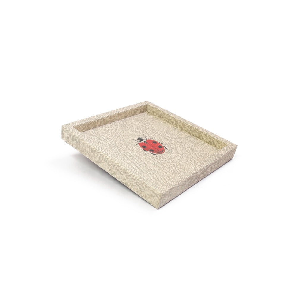 CHAROLA 18 X 18 RAYITAS CARNE