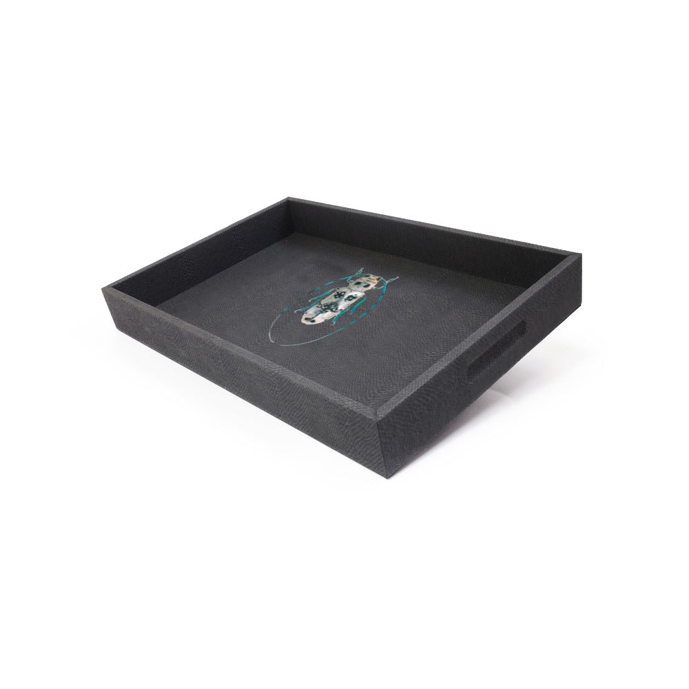 CHAROLA MEDIANA PAMPA