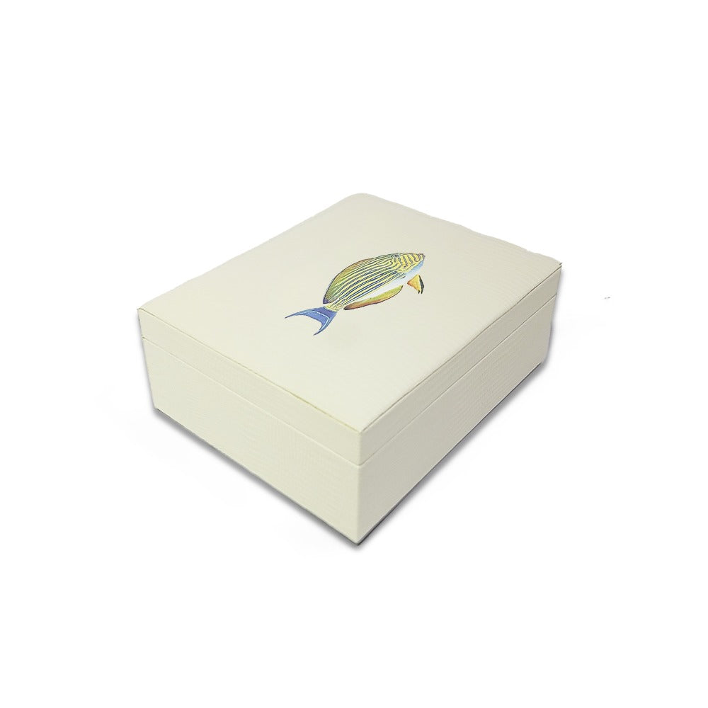 CAJA DE TE 6 CARNE ARMADILLO