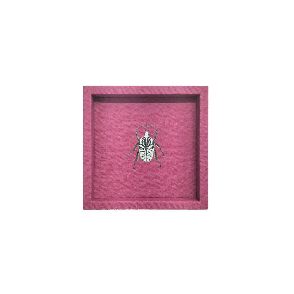 CHAROLA 15 X 15 FORRO MAGENTA