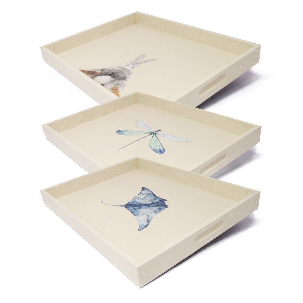 CHAROLA GRANDE CARNE ARMADILLO