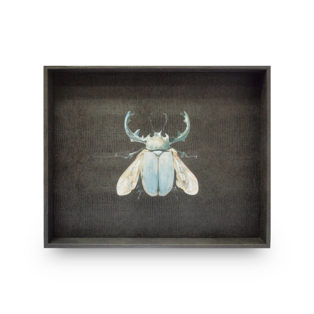 CHAROLA GRANDE GRIS ARMADILLO