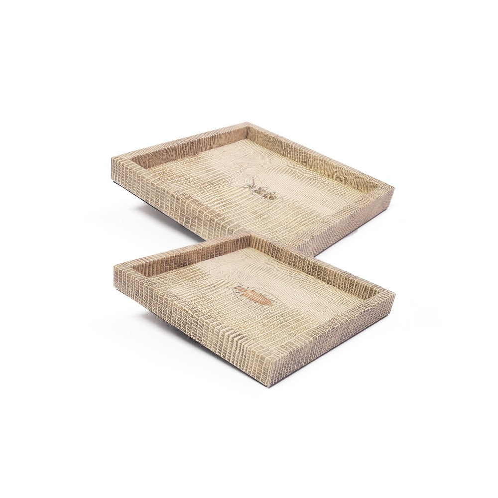 CHAROLA 15 X 15 TEJUS CLARO