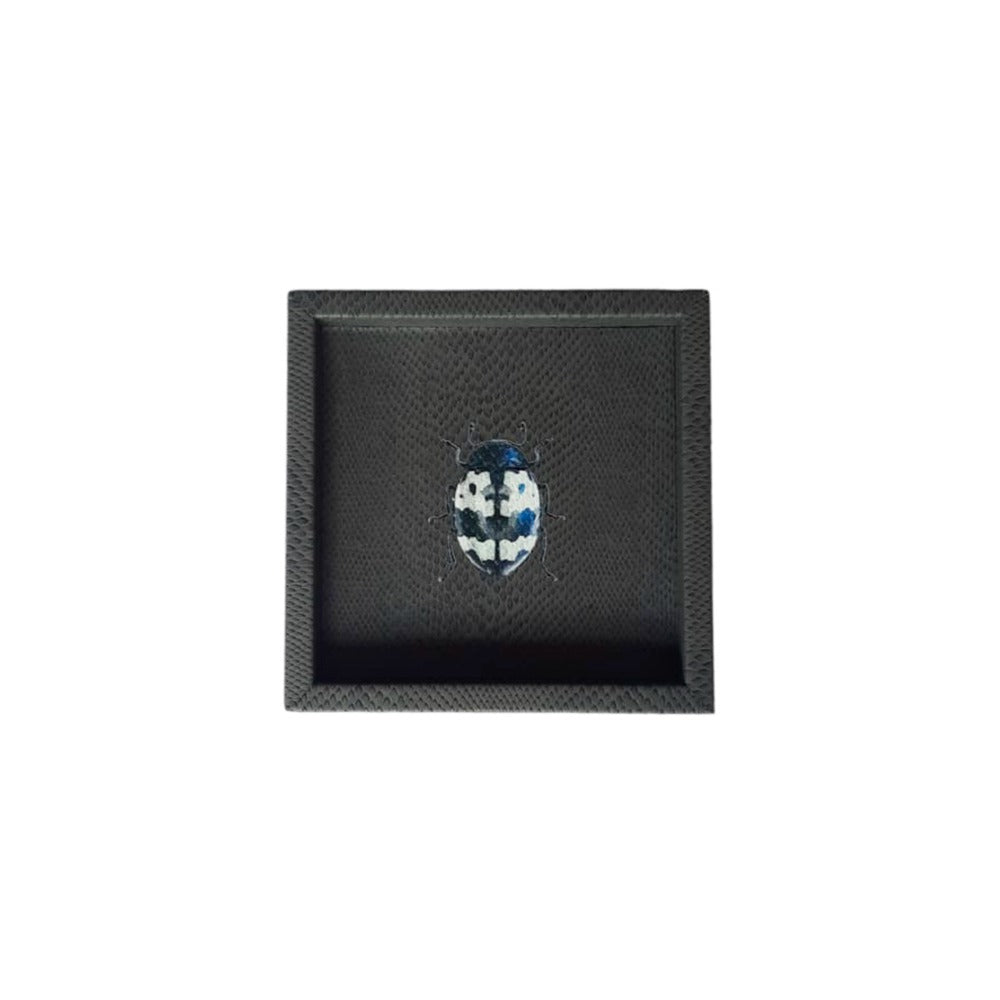 CHAROLA 15 X 15 PAMPA