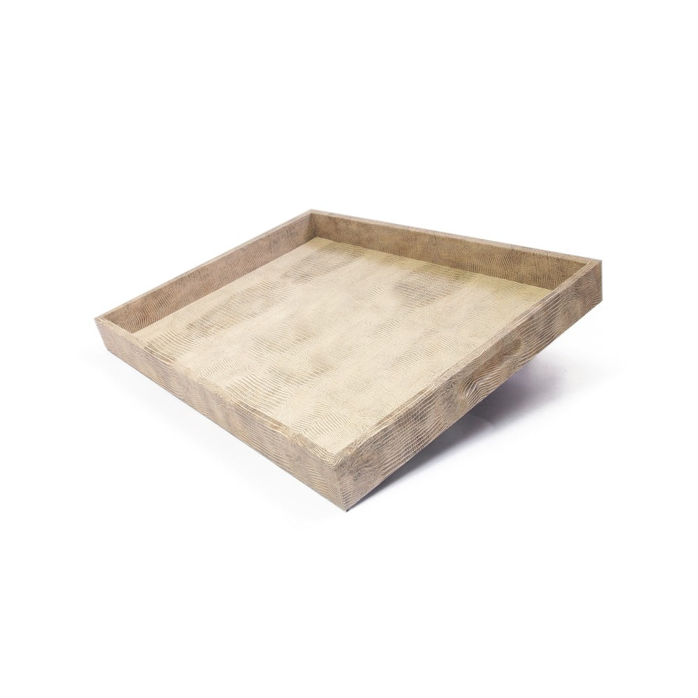 CHAROLA GRANDE TEJUS CLARO