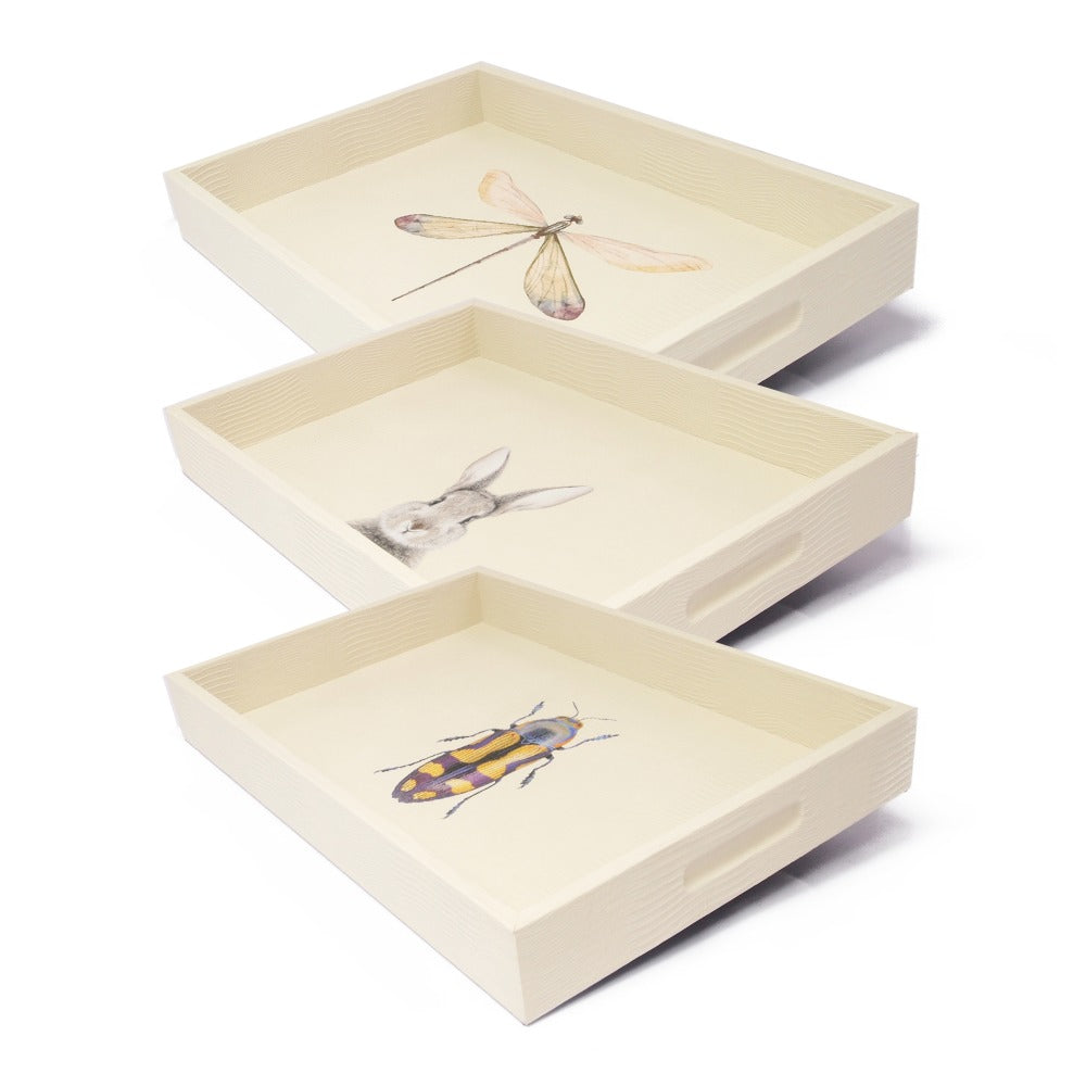 CHAROLA MEDIANA CARNE ARMADILLO