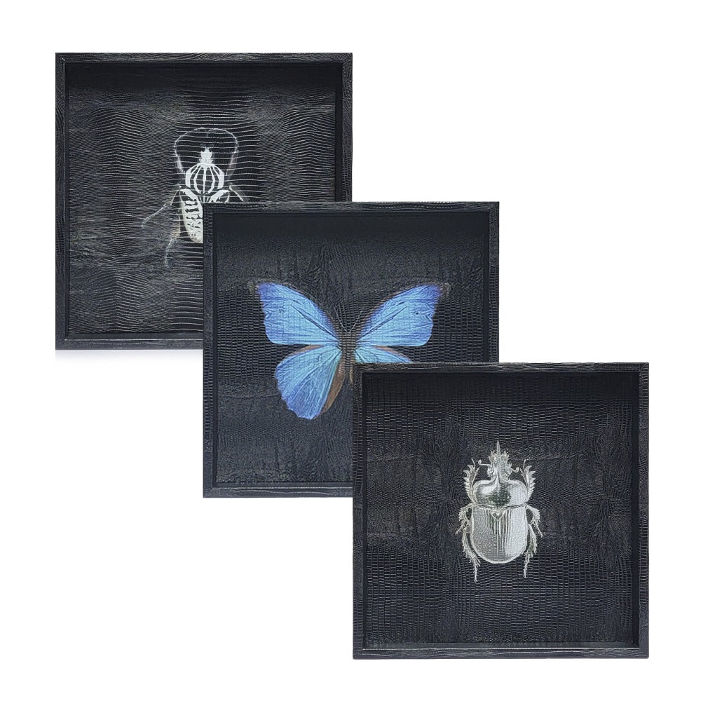 CHAROLA CUADRADA NEGRO ARMADILLO