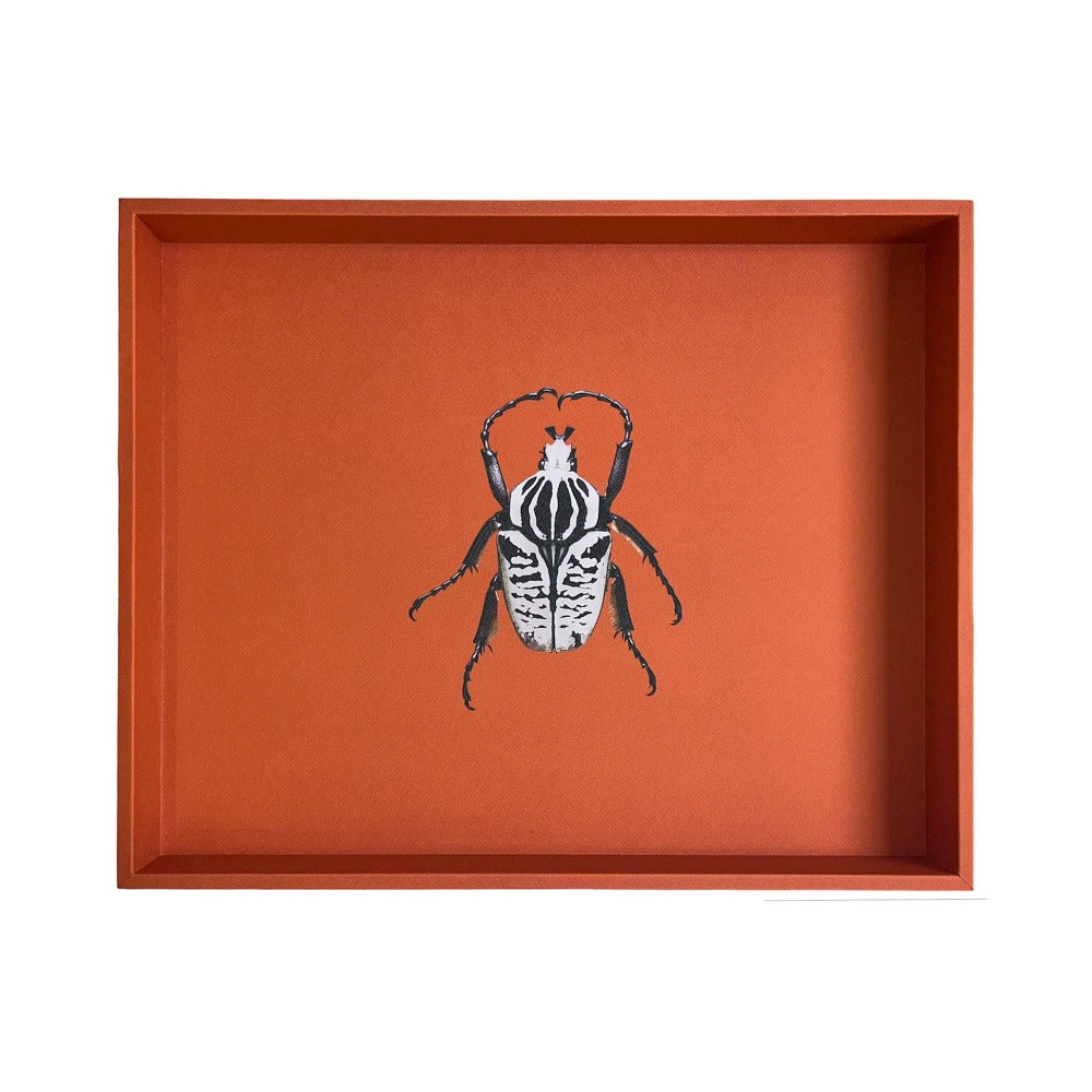 CHAROLA EXTRA GRANDE FORRO NARANJA