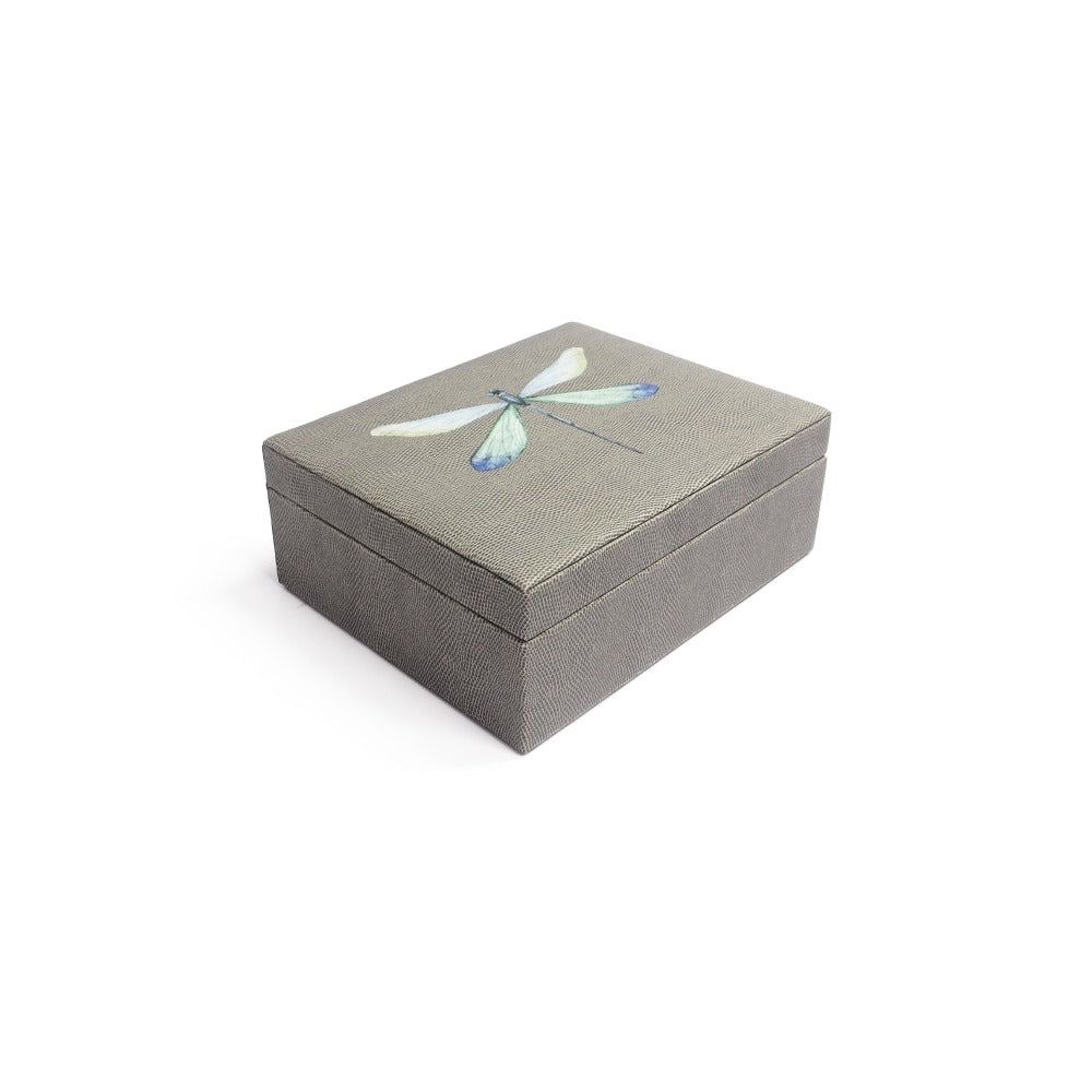 6-Compartment Gray Reptile Tea Box