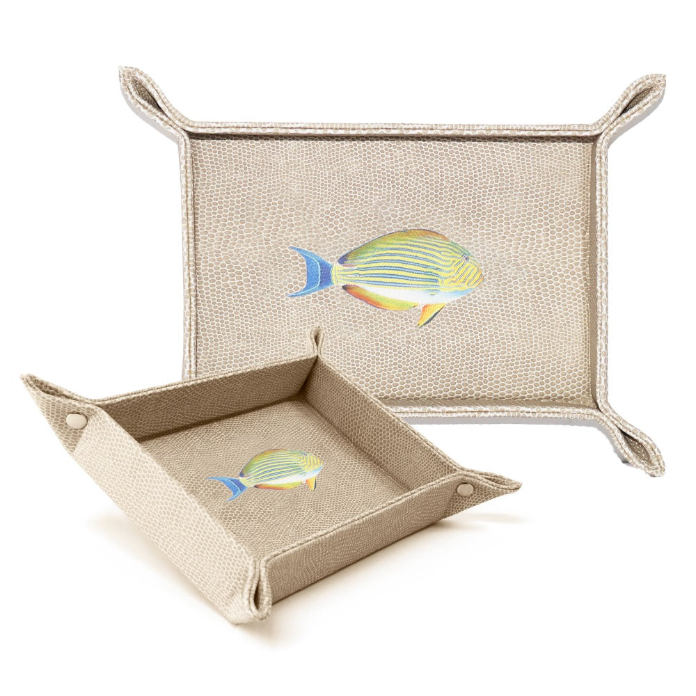 VACIA BOLSILLOS CHICO RAYITAS CARNE