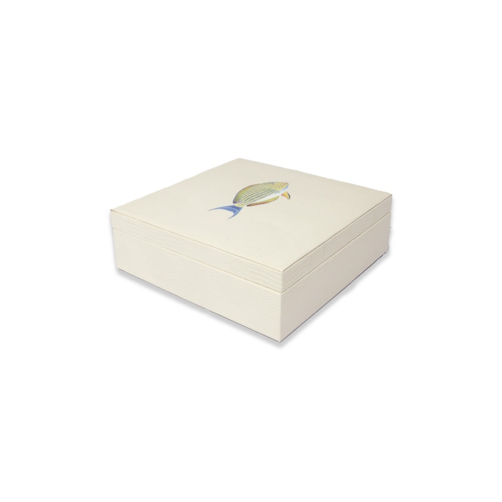 CAJA DE TE 9 CARNE ARMADILLO