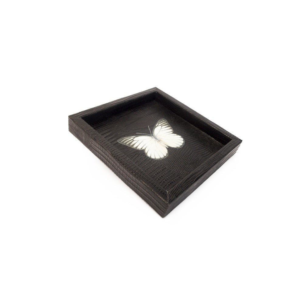 CHAROLA 15 X 15 NEGRO ARMADILLO