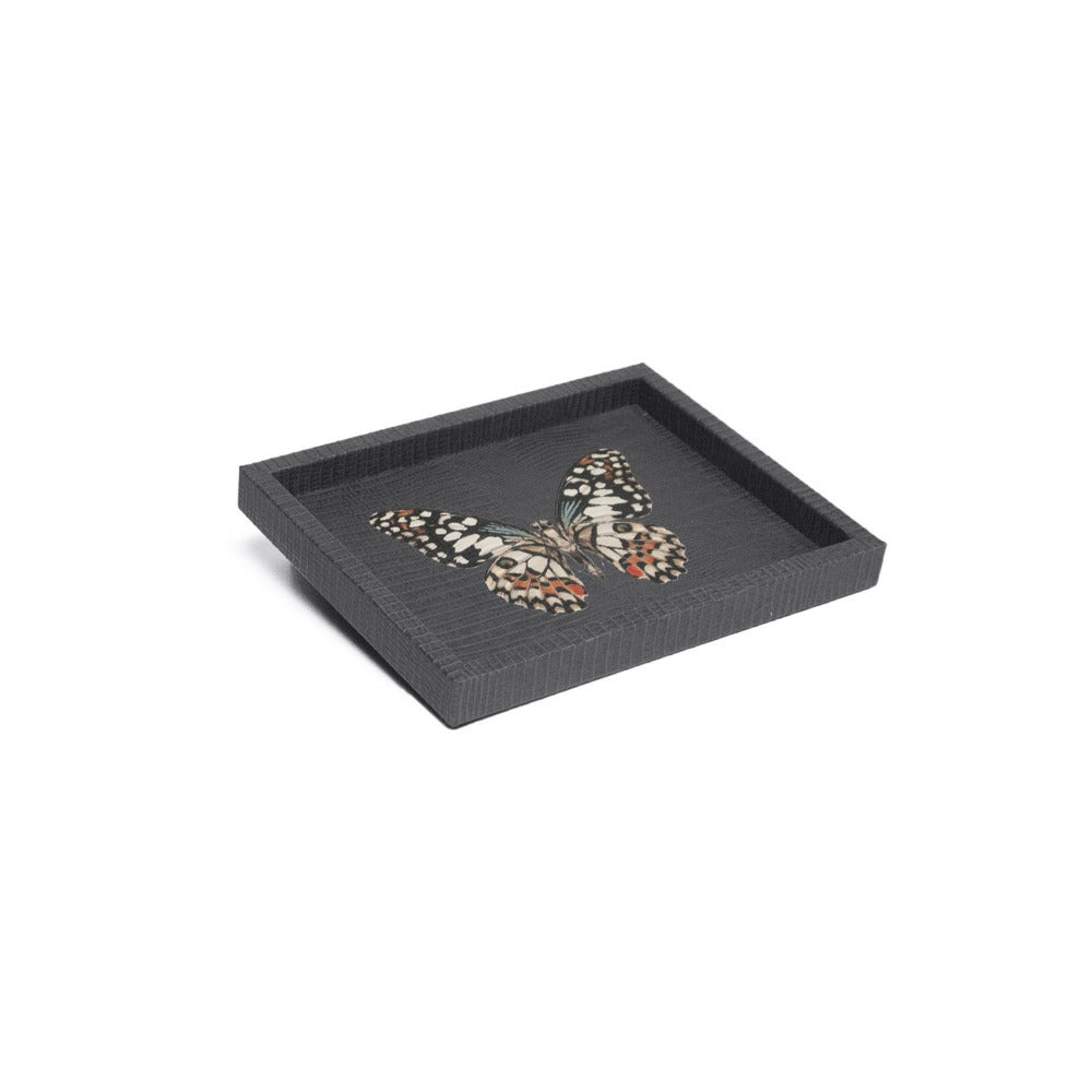 CHAROLA LADDU NEGRO ARMADILLO