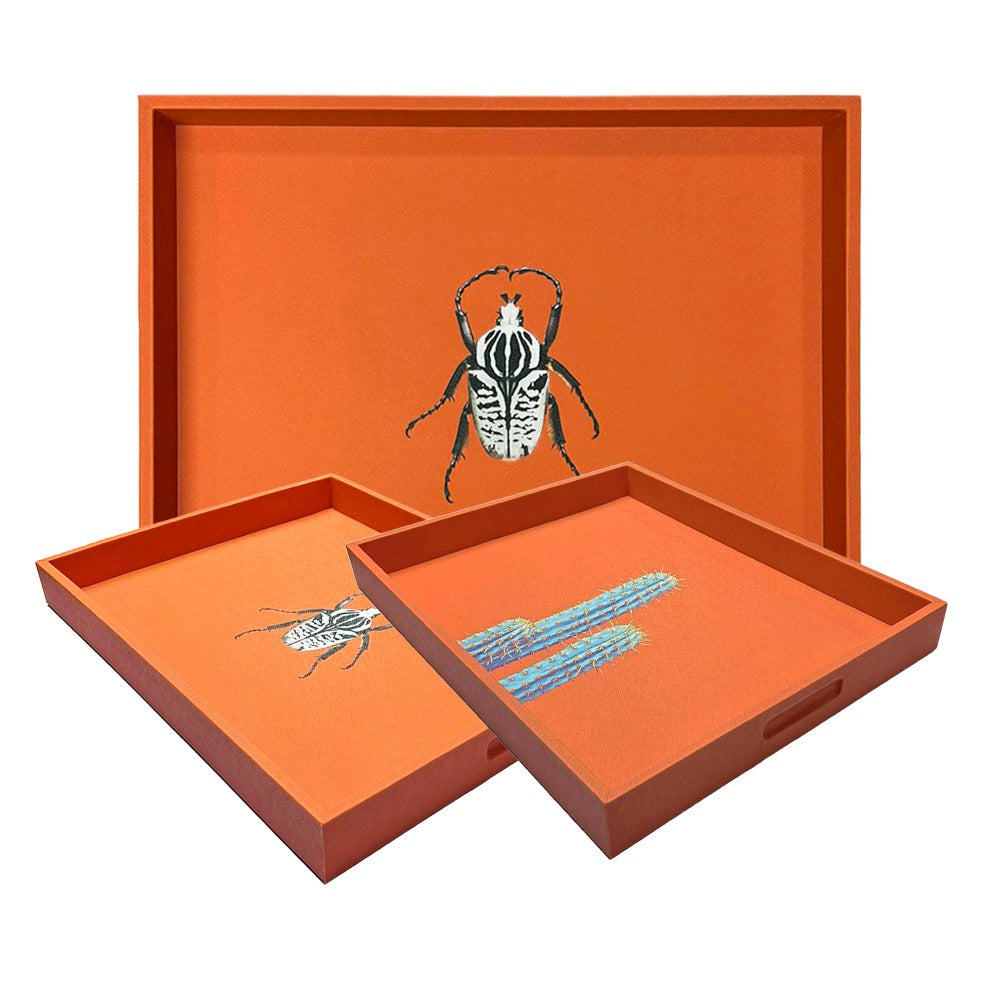 CHAROLA EXTRA GRANDE FORRO NARANJA
