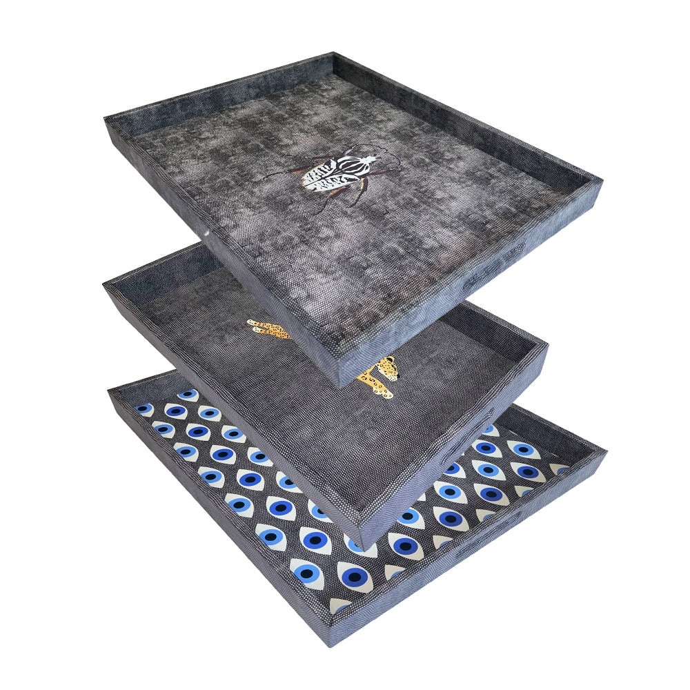 CHAROLA GRANDE CARBON