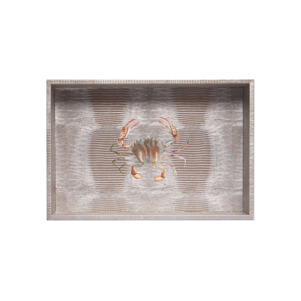 CHAROLA MEDIANA TEJUS PLATA BEIGE