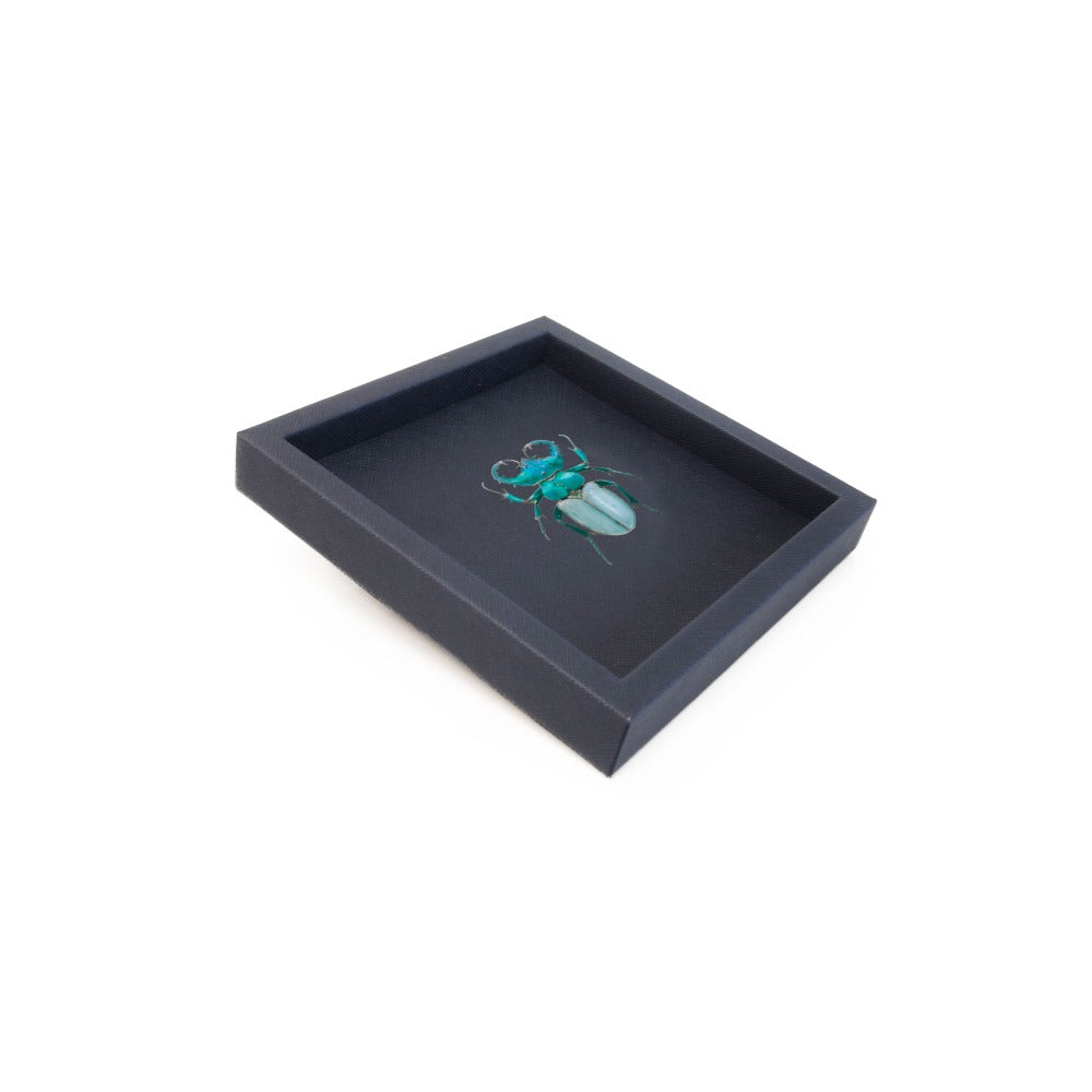 CHAROLA 15 X 15 FORRO AZUL NOCHE
