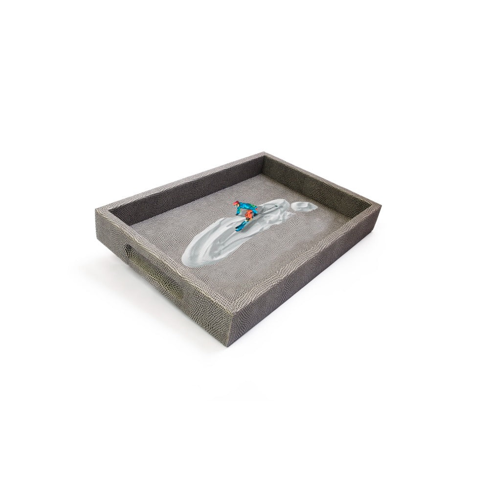 CHAROLA BURO REPTIL GRIS TAY XACUR