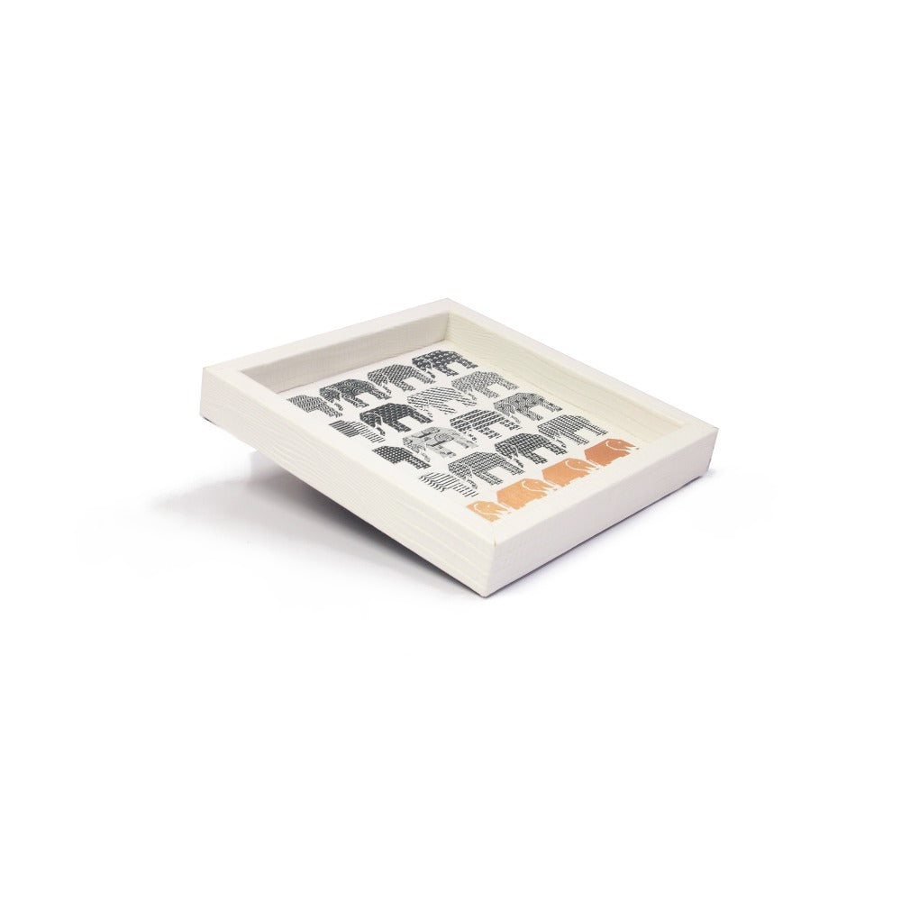 CHAROLA 15 x 15 NIEVE ARMADILLO PEDRO FRIEDEBERG