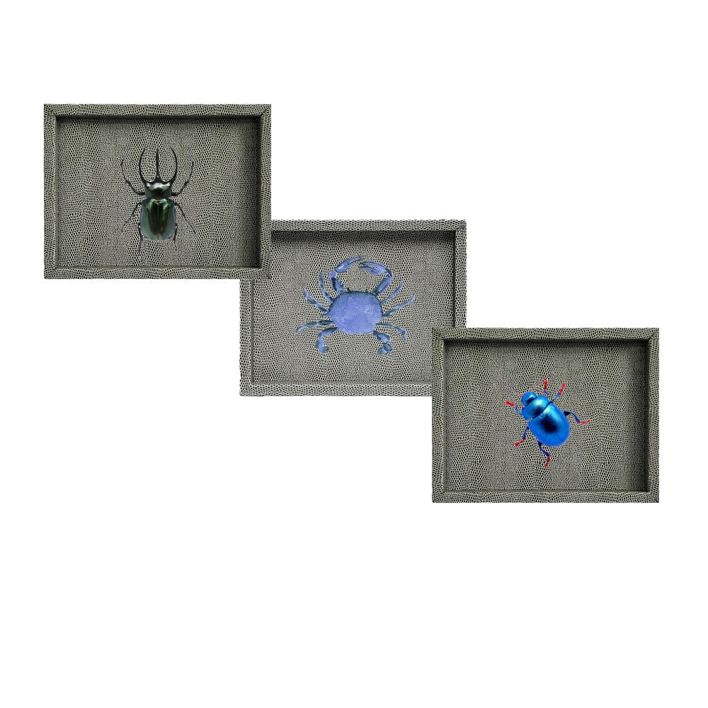 CHAROLA LADDU REPTIL GRIS