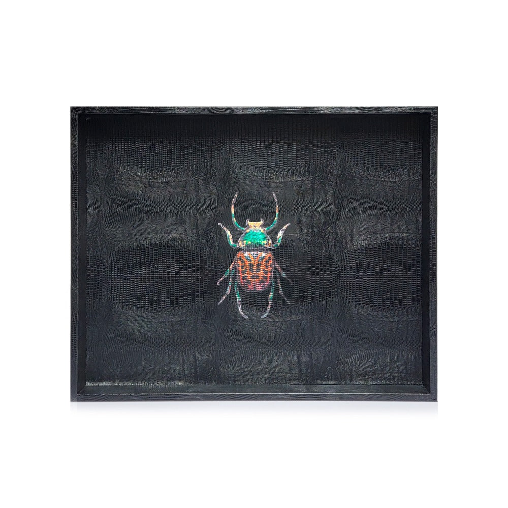 CHAROLA GRANDE NEGRO ARMADILLO