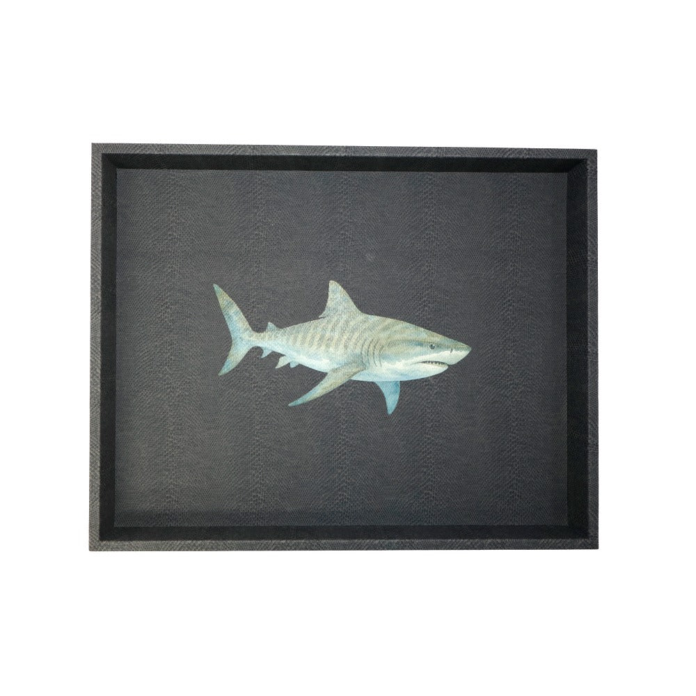 CHAROLA GRANDE PAMPA