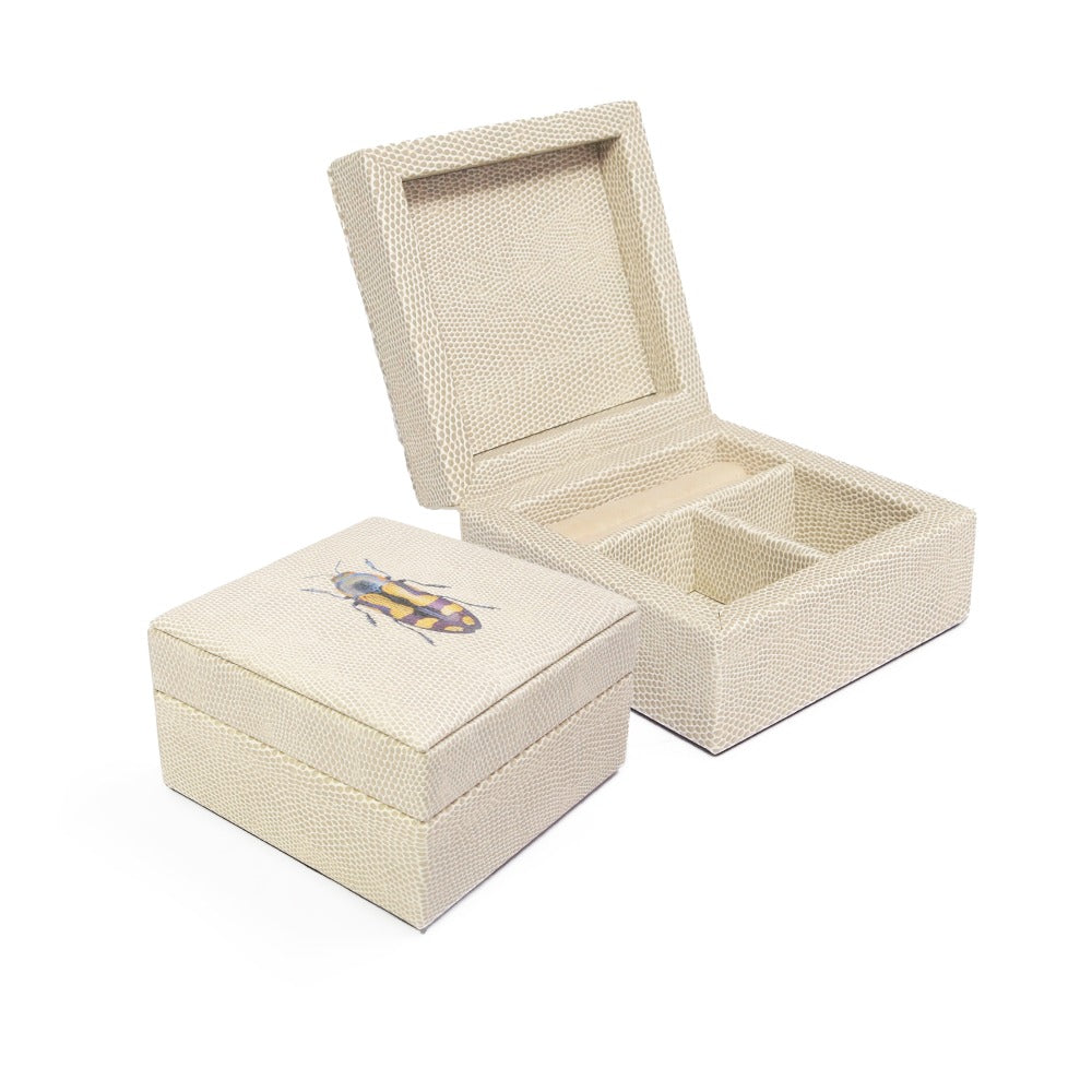 JOYERO MINI RAYITAS CARNE