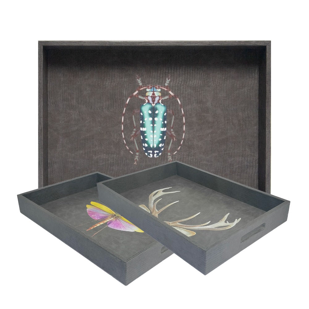 CHAROLA GRANDE GRIS ARMADILLO