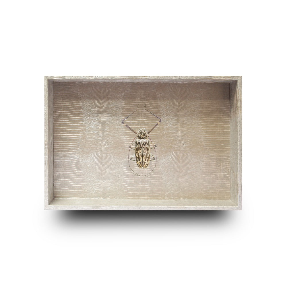 CHAROLA MEDIANA TEJUS PLATA BEIGE