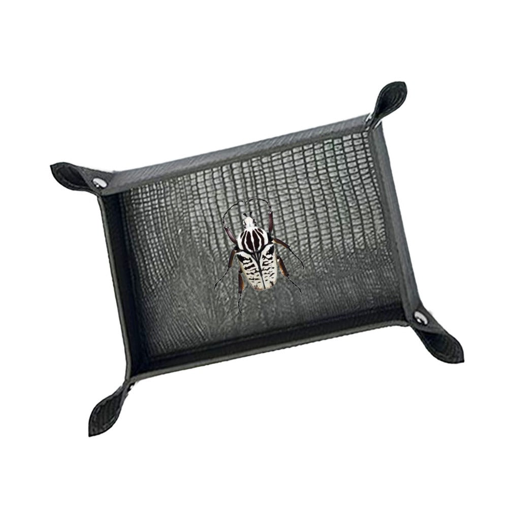 VACIA BOLSILLOS GRANDE GRIS ARMADILLO