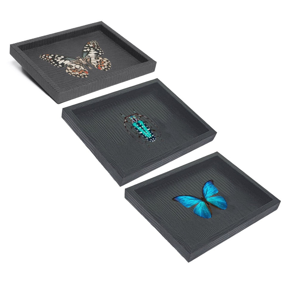BLACK ARMADILLO LADDU TRAY