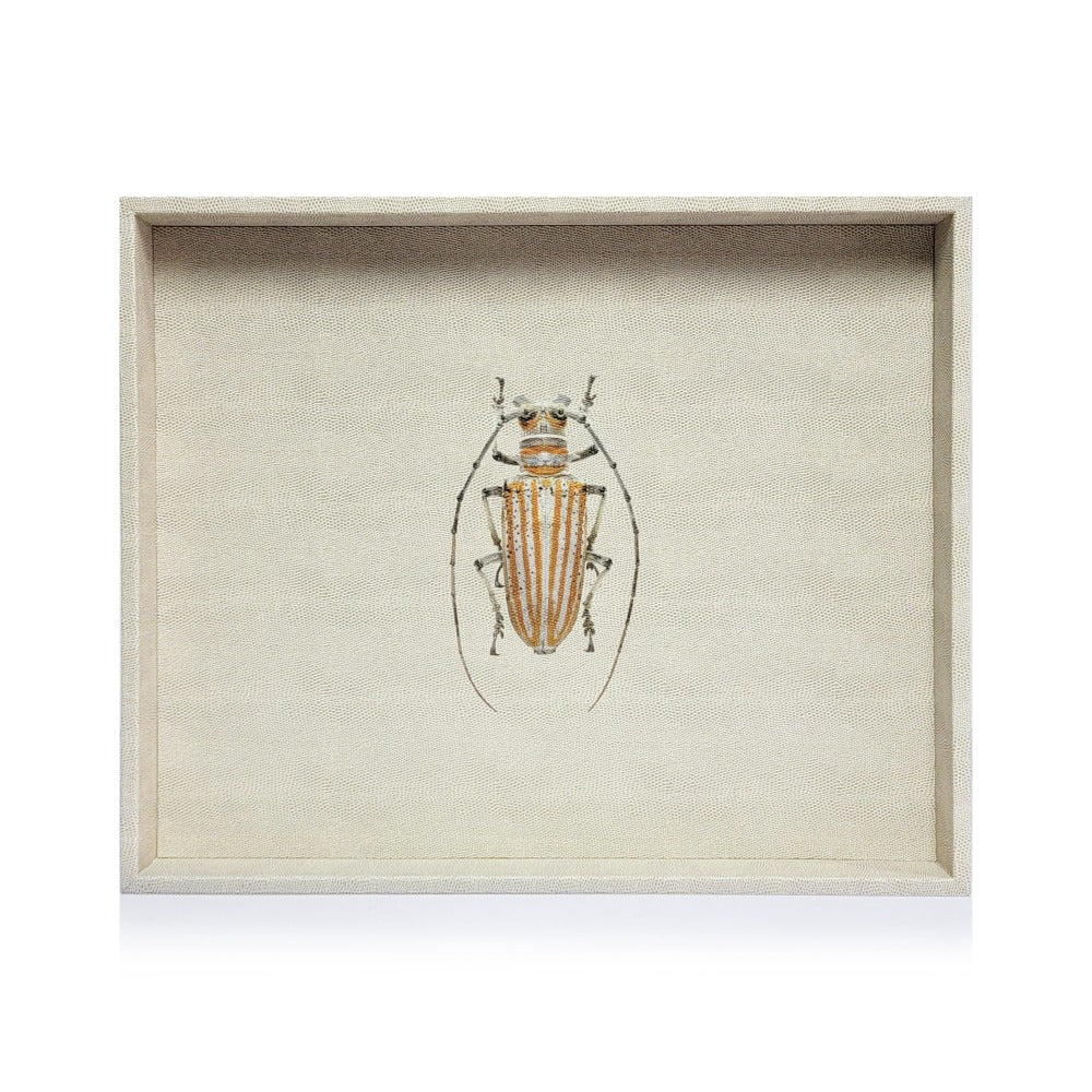 CHAROLA EXTRA GRANDE RAYITAS CARNE