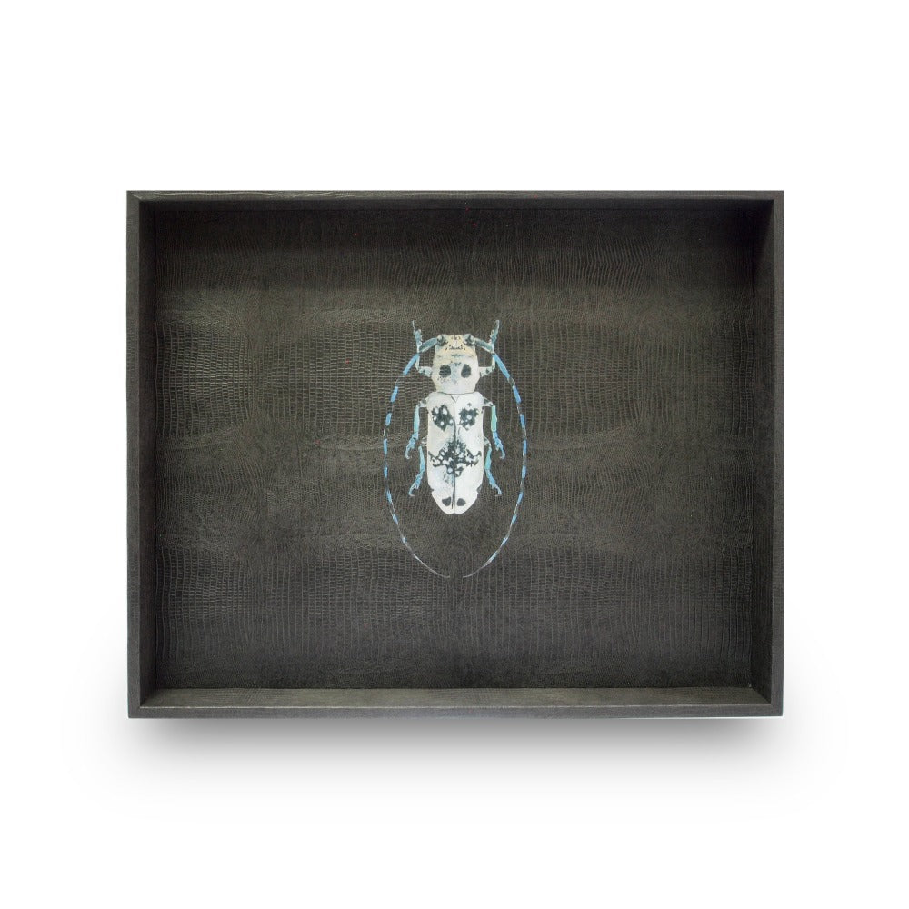 CHAROLA GRANDE GRIS ARMADILLO