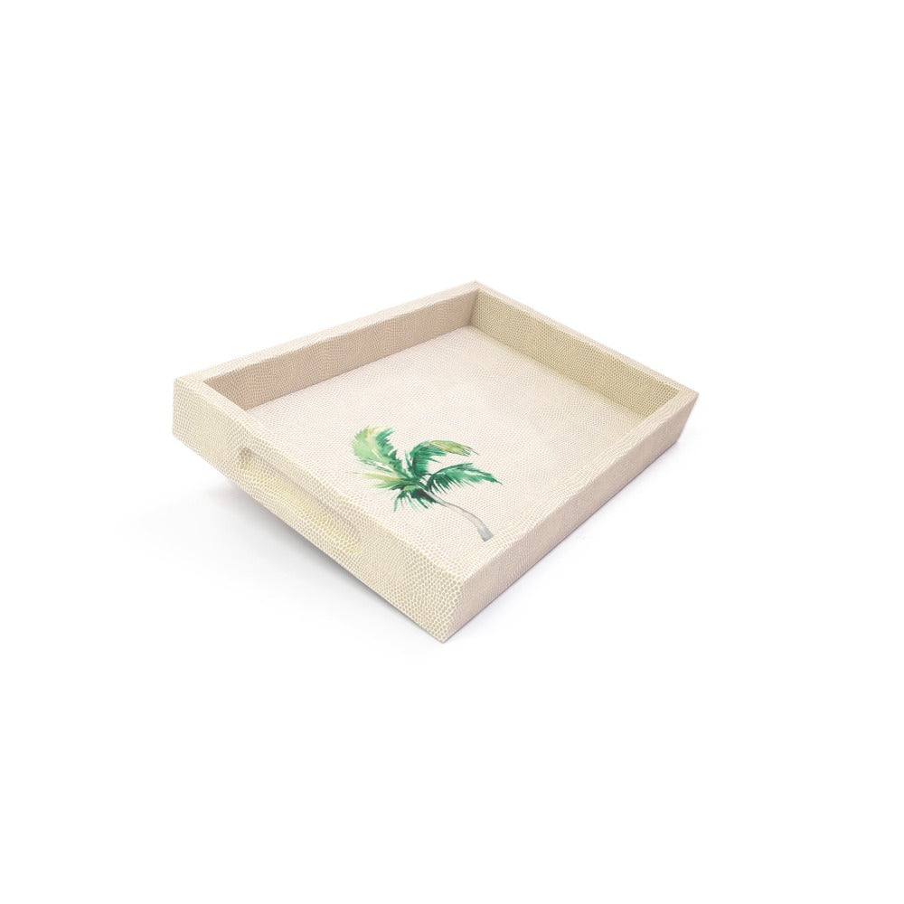 CHAROLA BURO RAYITAS CARNE