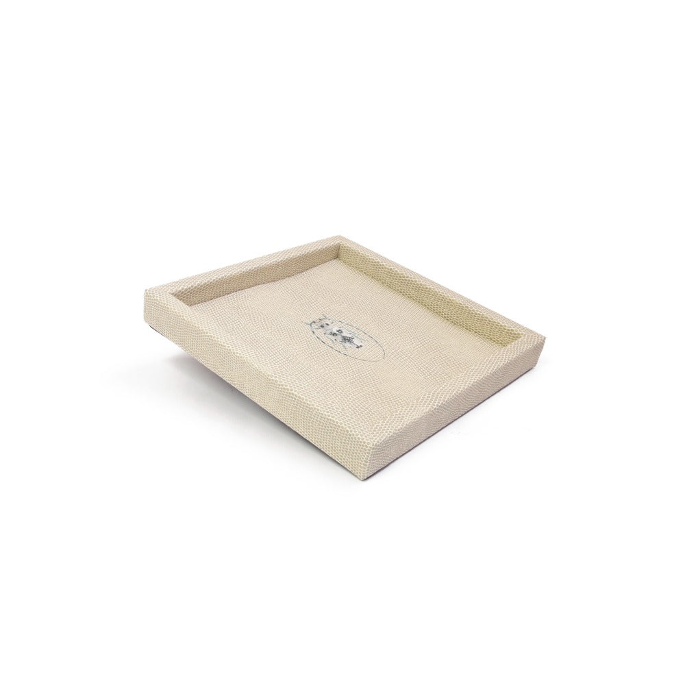 CHAROLA 18 X 18 RAYITAS CARNE