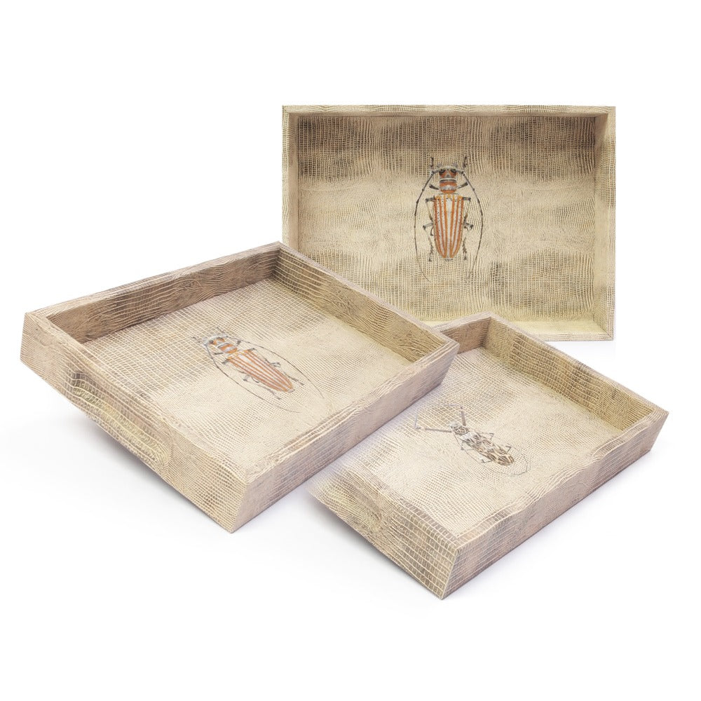 CHAROLA MEDIANA TEJUS CLARO