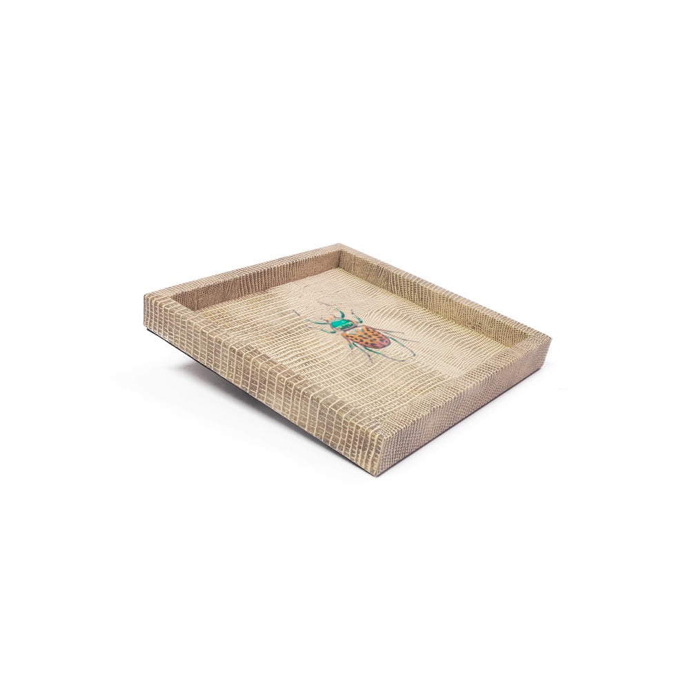 CHAROLA 18 X 18 TEJUS CLARO