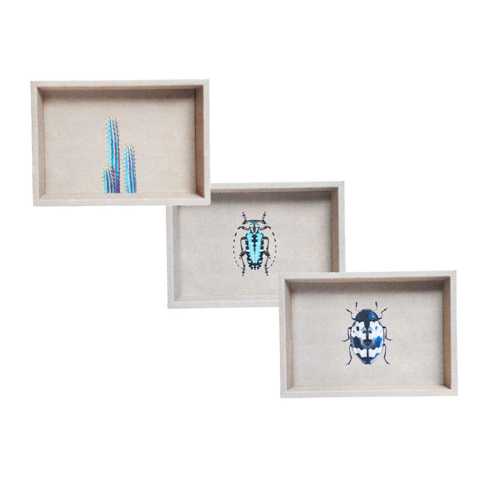 CHAROLA BURO RAYITAS CARNE