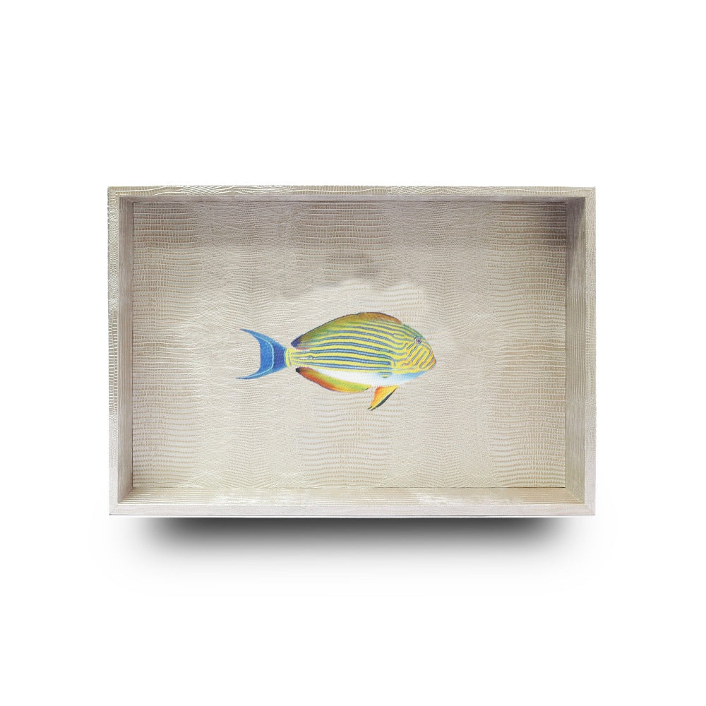 CHAROLA MEDIANA TEJUS PLATA BEIGE
