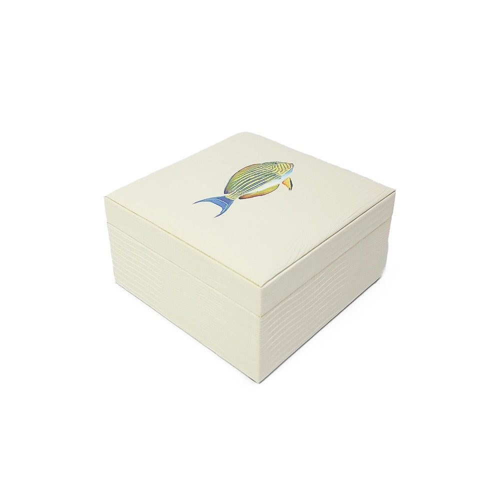 CAJA DE TE 4 CARNE ARMADILLO