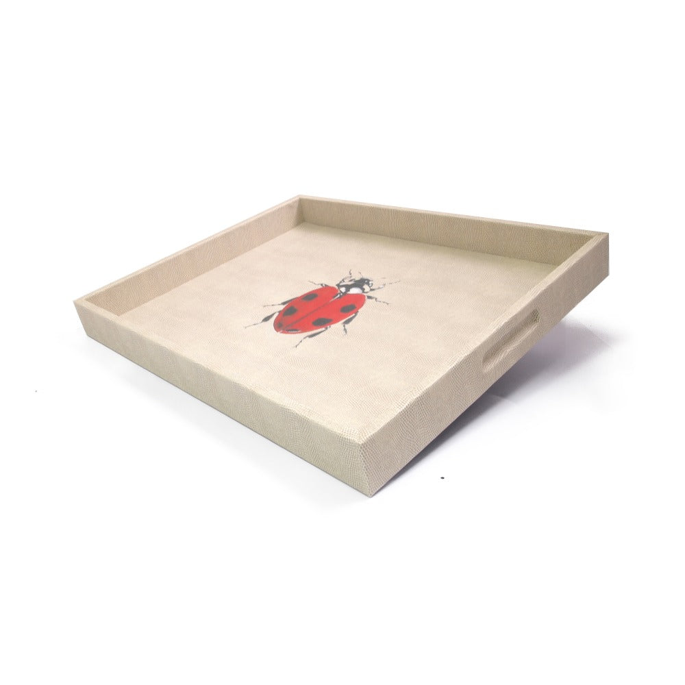 CHAROLA EXTRA GRANDE RAYITAS CARNE