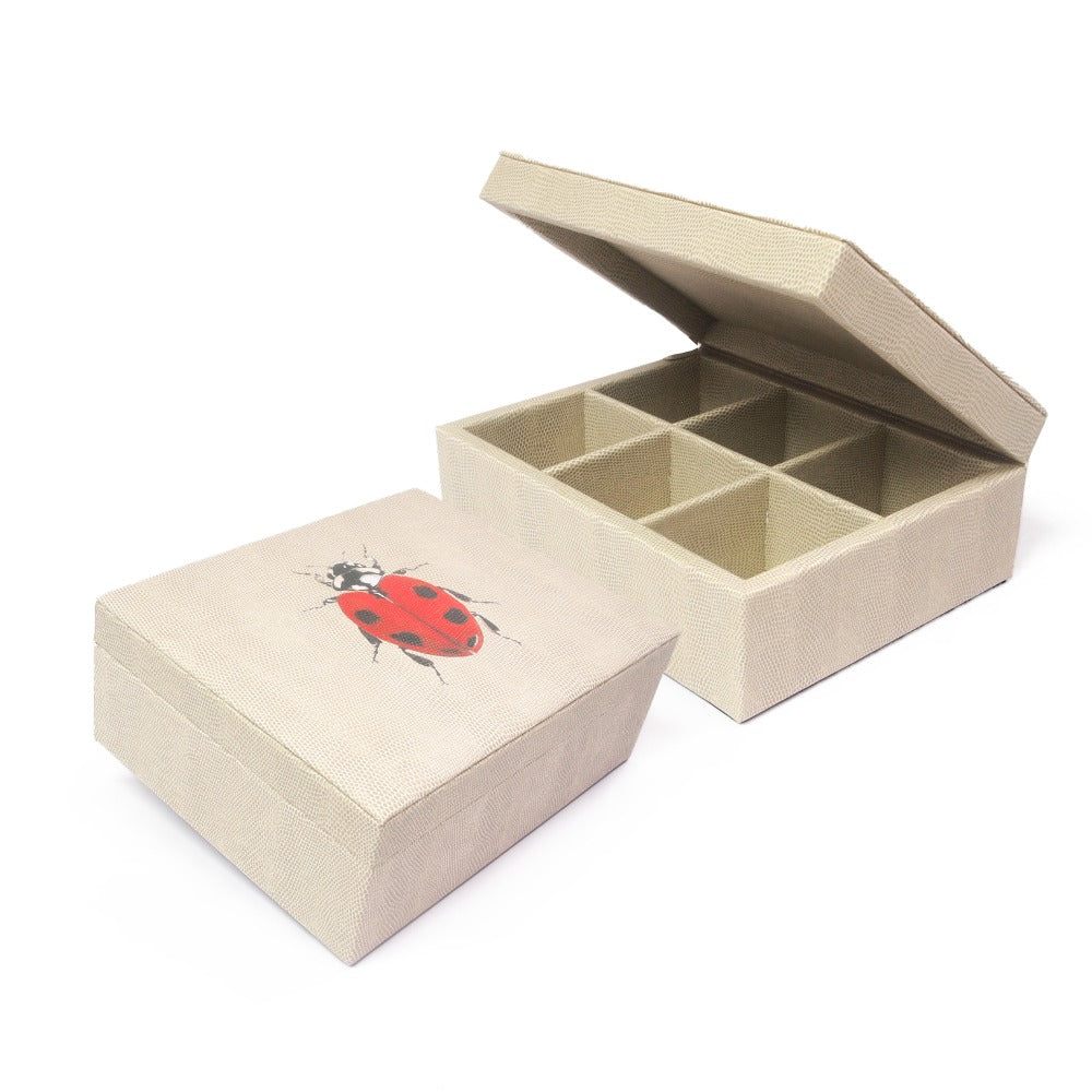 CAJA DE TE 6 RAYITAS CARNE