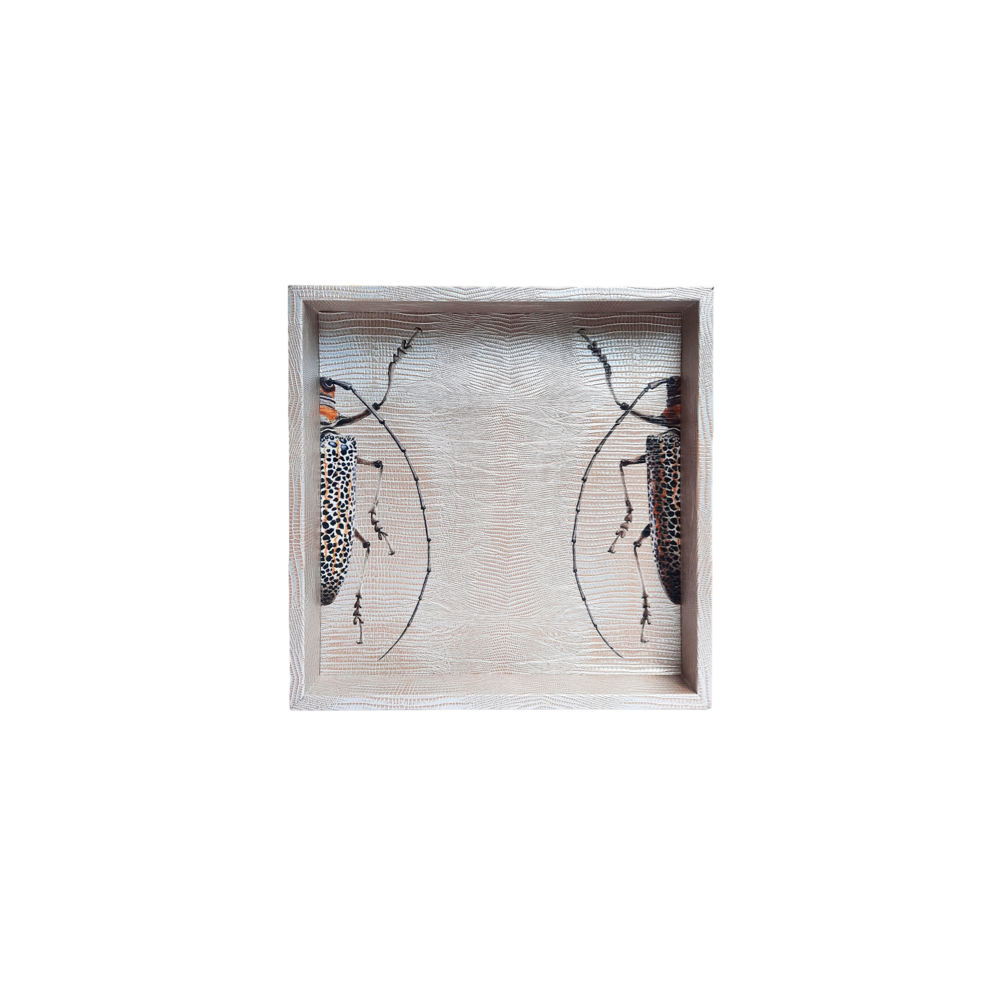 CHAROLA CUADRADA TEJUS PLATA BEIGE