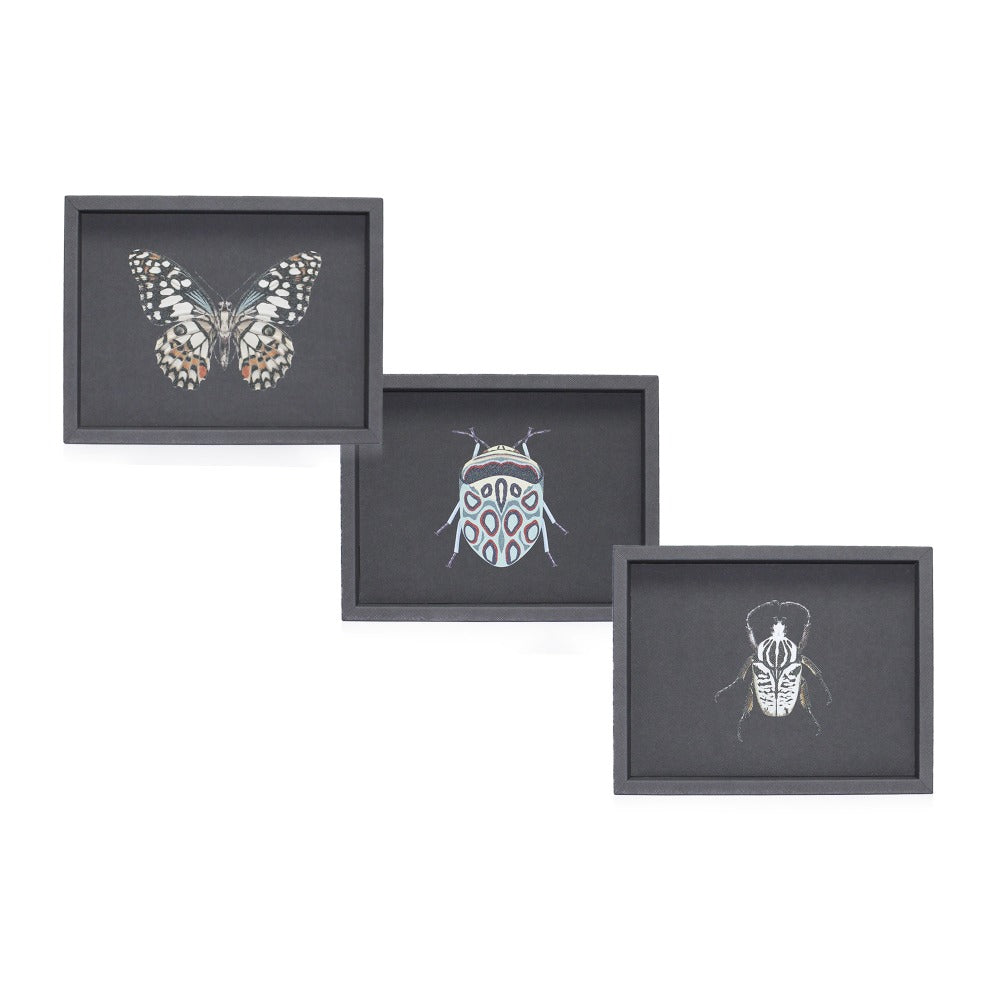 CHAROLA LADDU FORRO COOL GREY