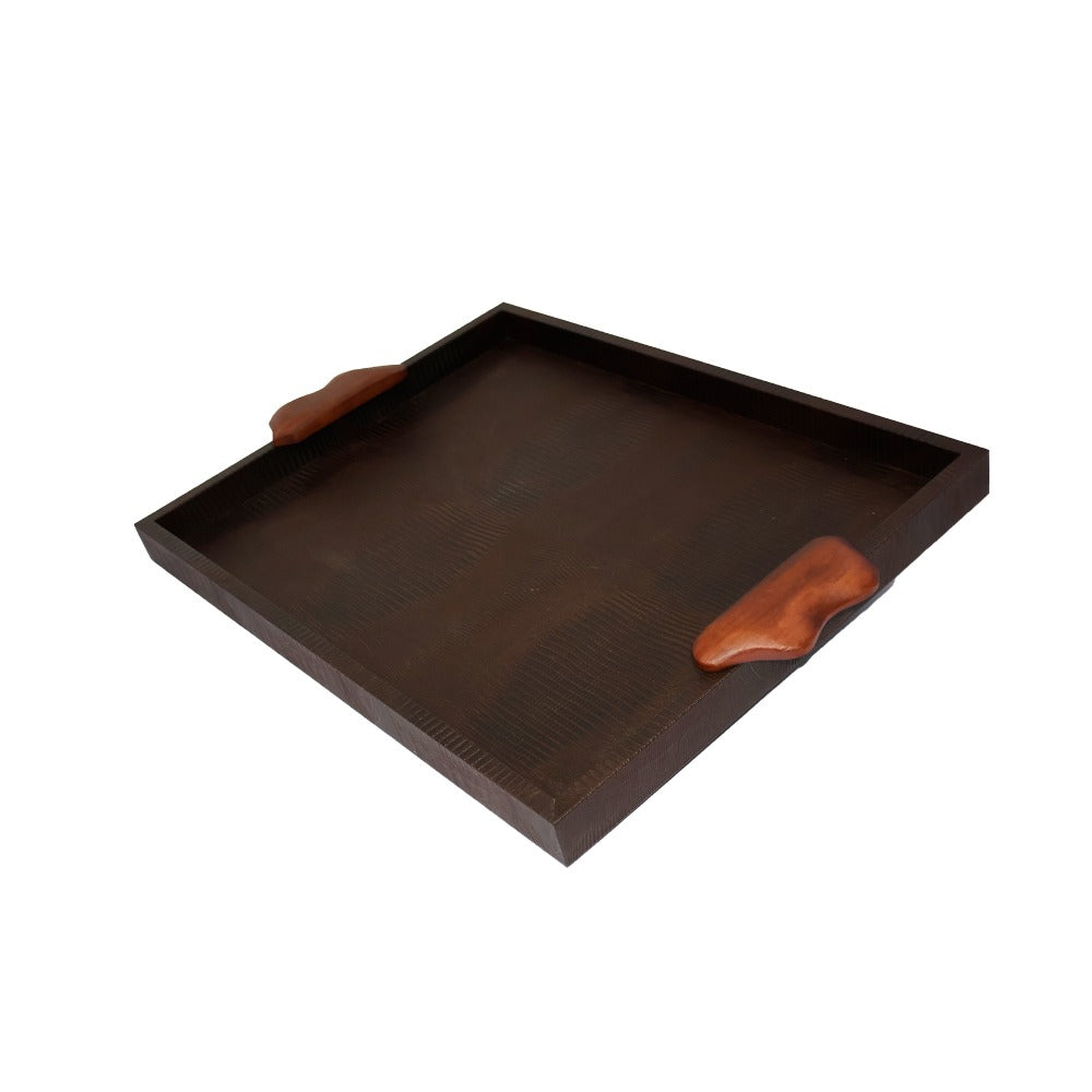 CHAROLA EXTRA GRANDE ASAS RESINA