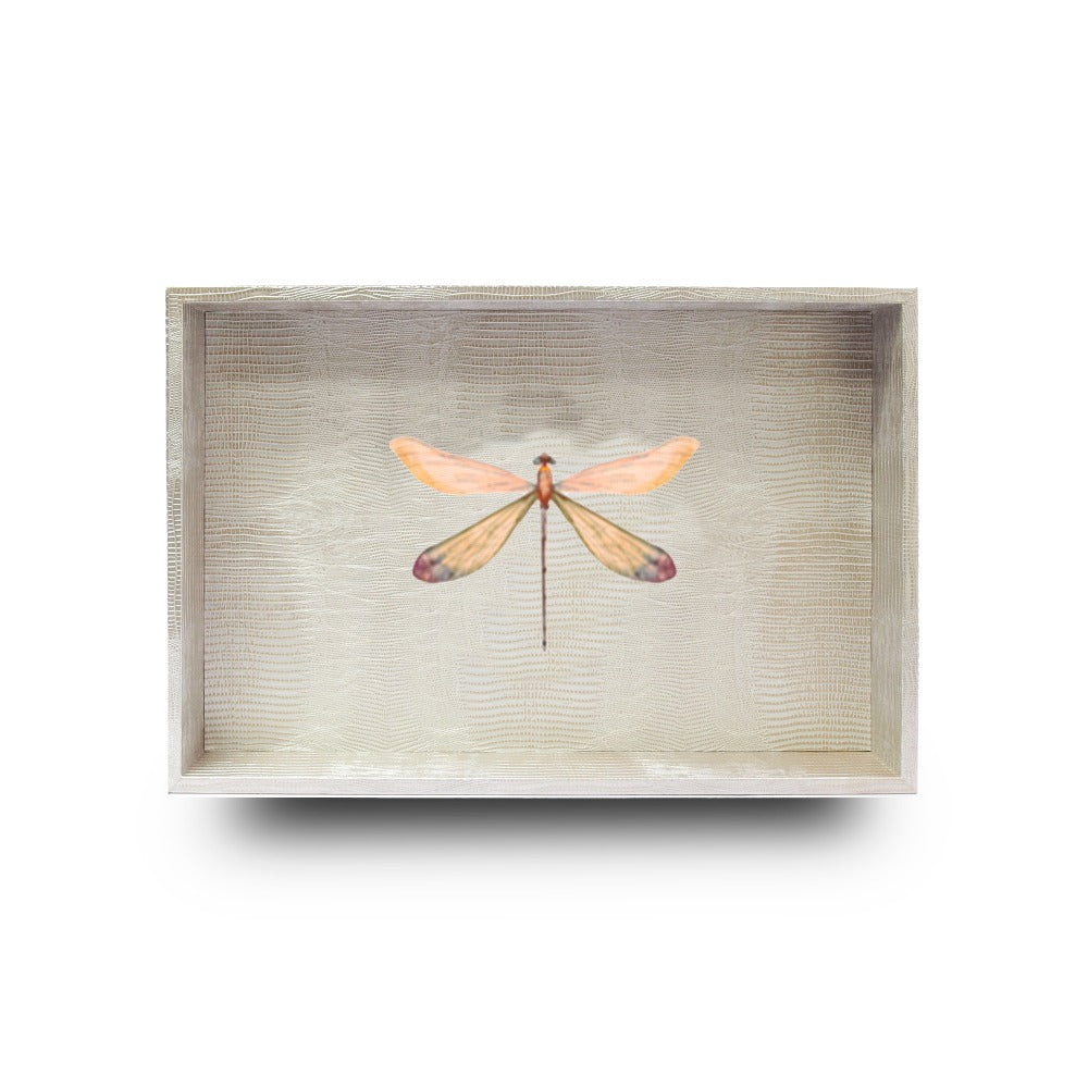 CHAROLA MEDIANA TEJUS PLATA BEIGE