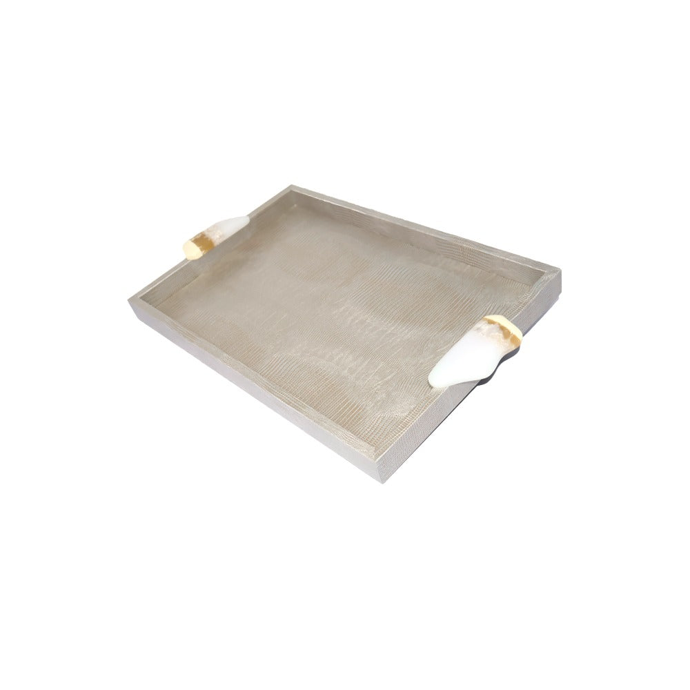 CHAROLA MEDIANA ASAS RESINA