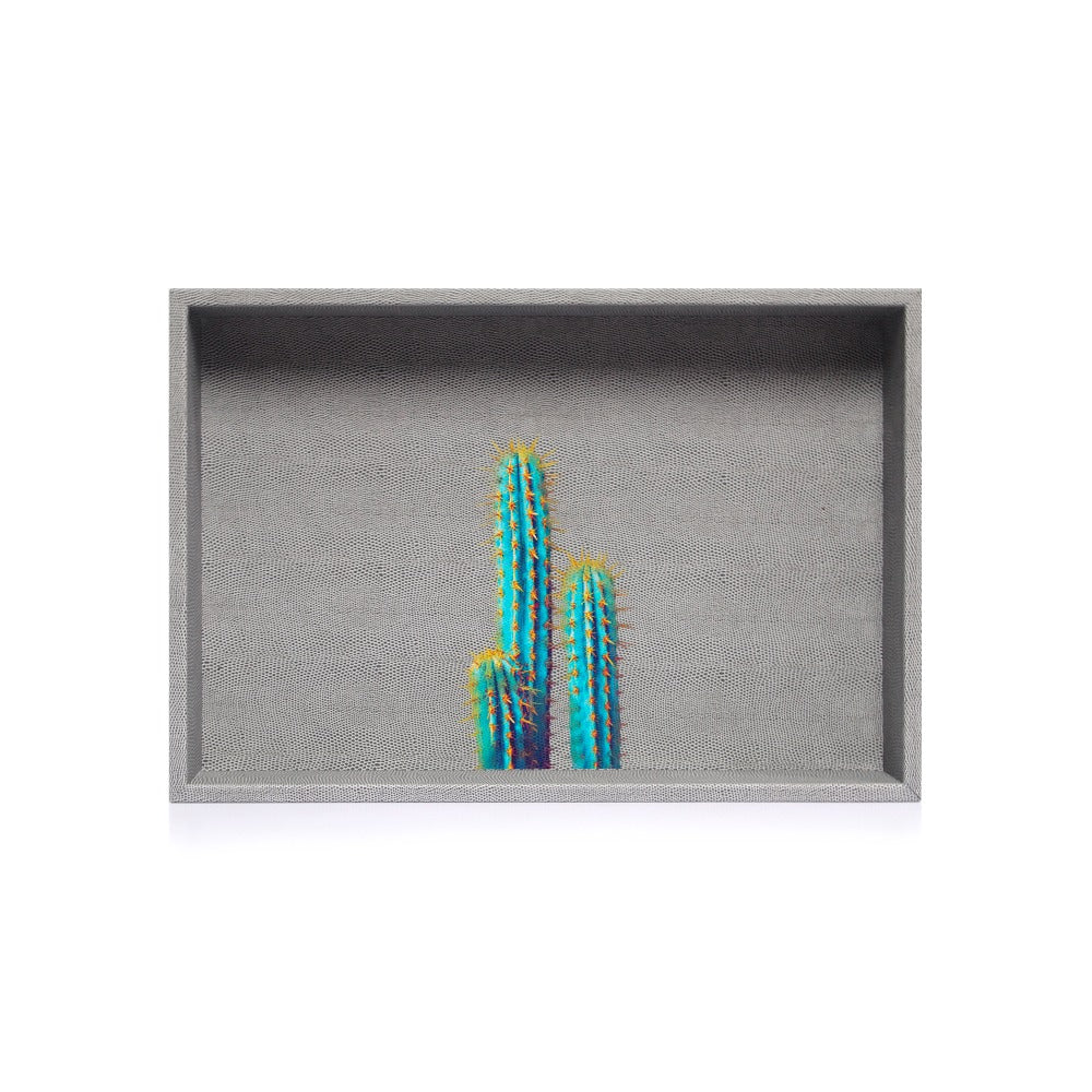 CHAROLA MEDIANA REPTIL GRIS