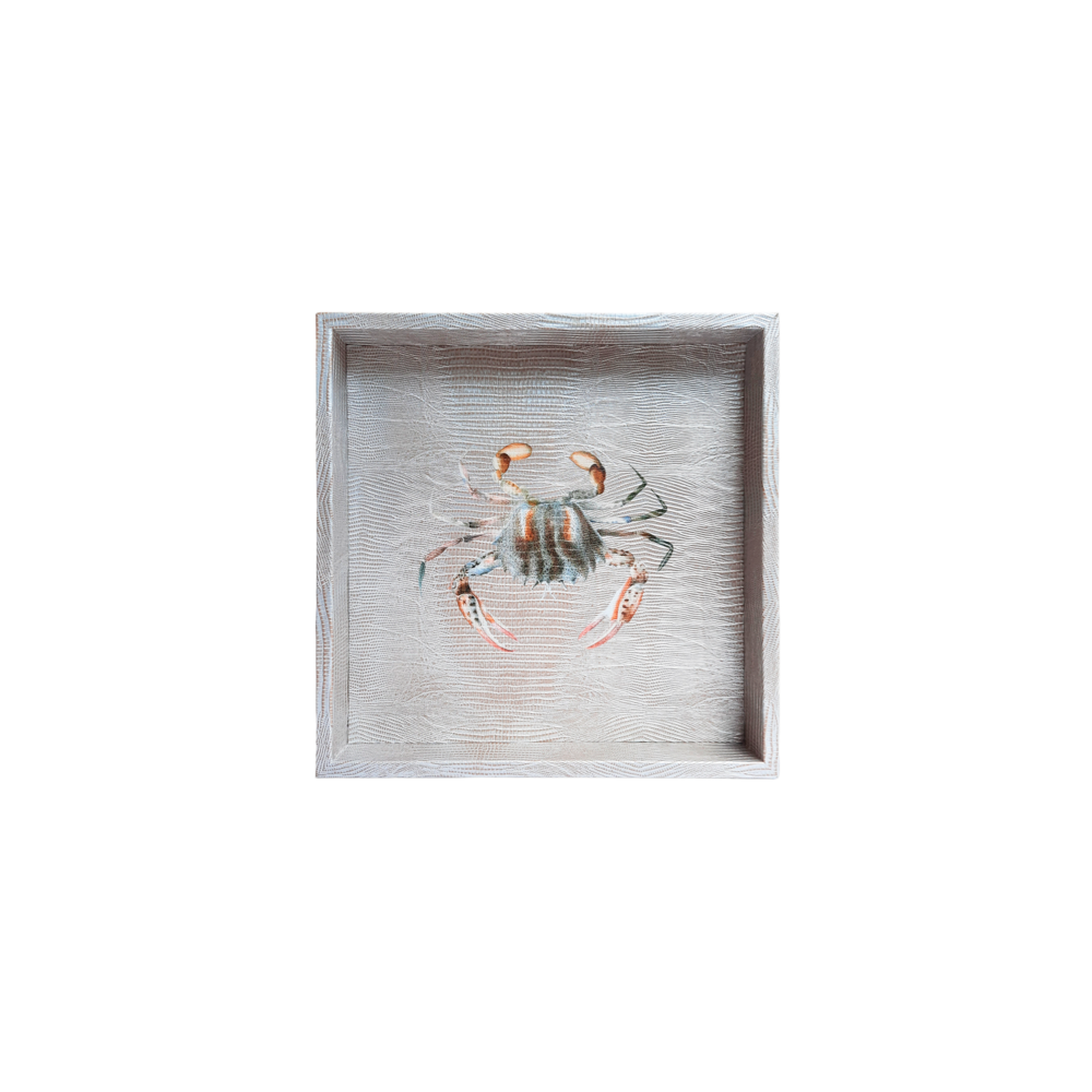 CHAROLA CUADRADA TEJUS PLATA BEIGE